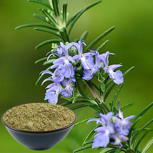 Acide carnosique