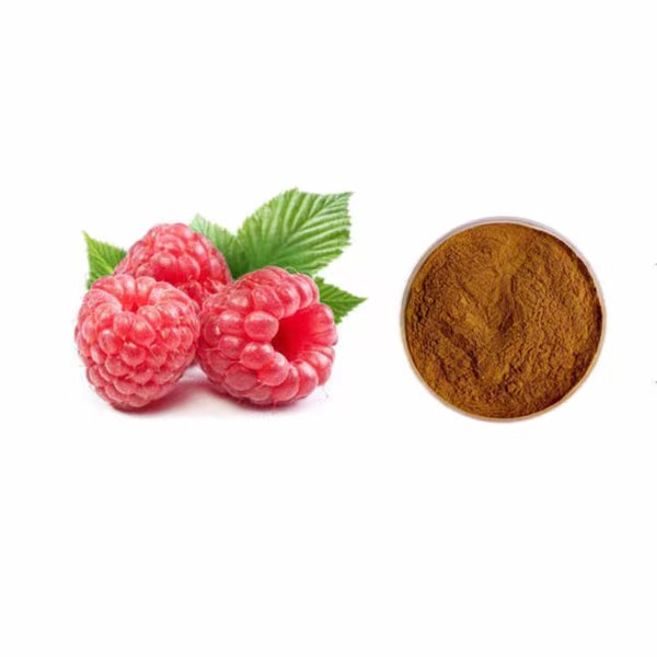 Poudre d'extrait de framboise noire