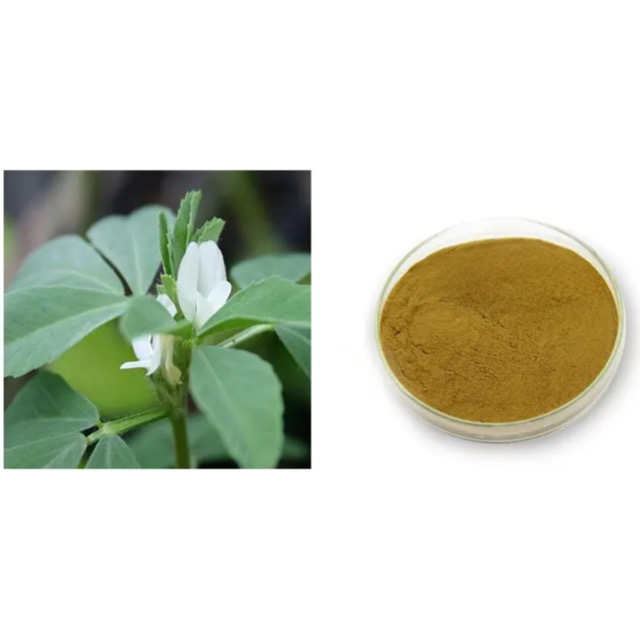 Poudre d'extrait d'épimedium