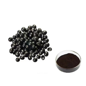 Poudre de sauce aux haricots noirs
