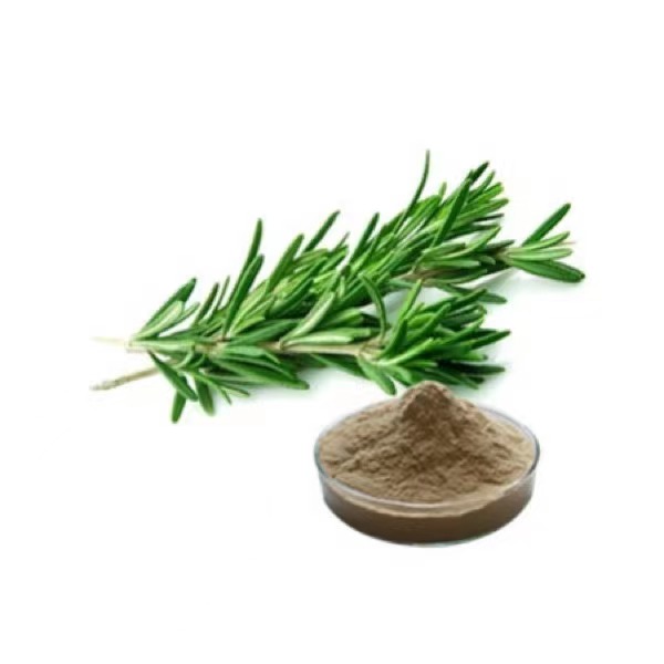 Extraction d'acide carnosique