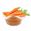 Poudre de carottes déshydratées