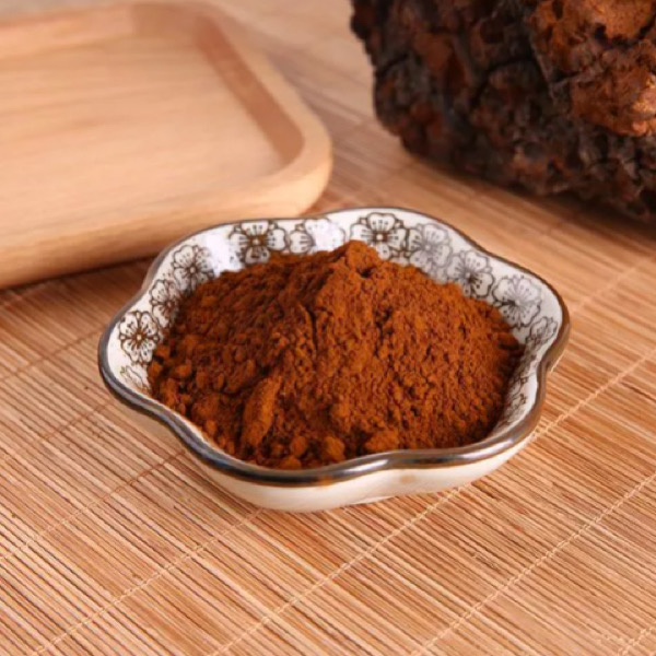 Extrait de chaga