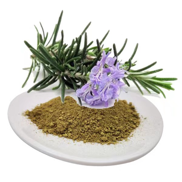 Extraction d'acide carnosique